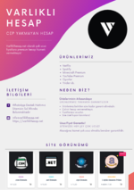 Varlıklı hesap.png